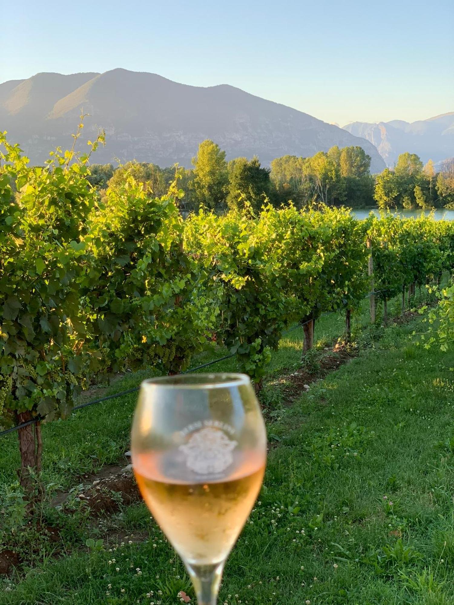 La Casa Di Saten - Appartamento In Franciacorta Erbusco Eksteriør bilde